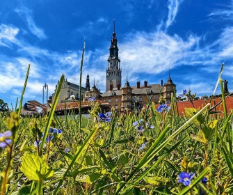 L`ofre pour l`annê 2024